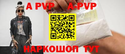 мдпв Кингисепп