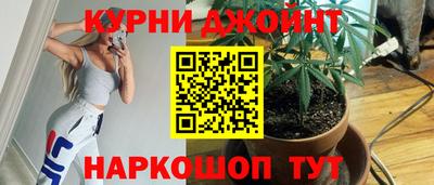 мдпв Кингисепп