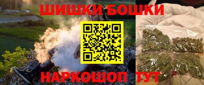 мдпв Кингисепп