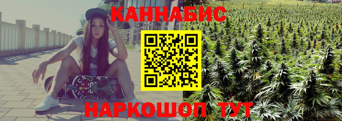 Каннабис планчик Королёв